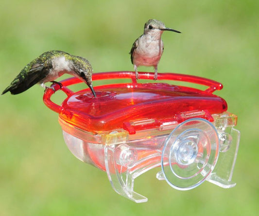 The Gem Window Hummingbird Feeder