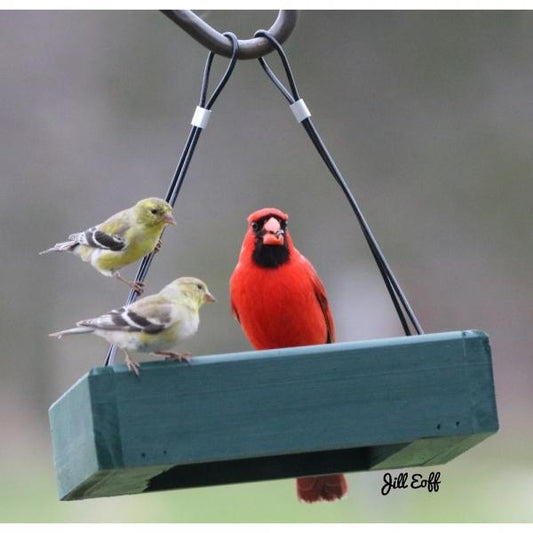 Petite Green Hanging Tray Feeder