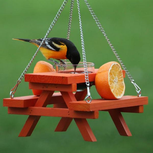 Oriole Picnic Table Feeder