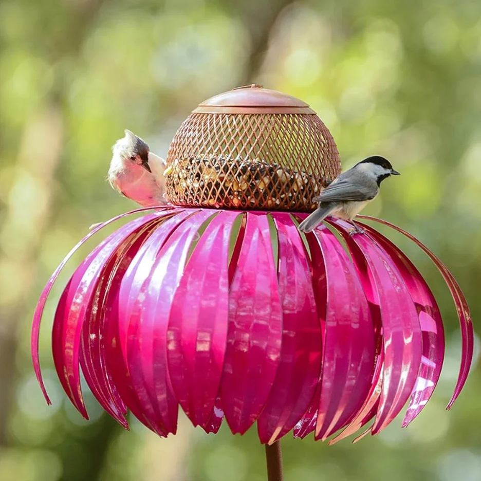 Coneflower Feeder