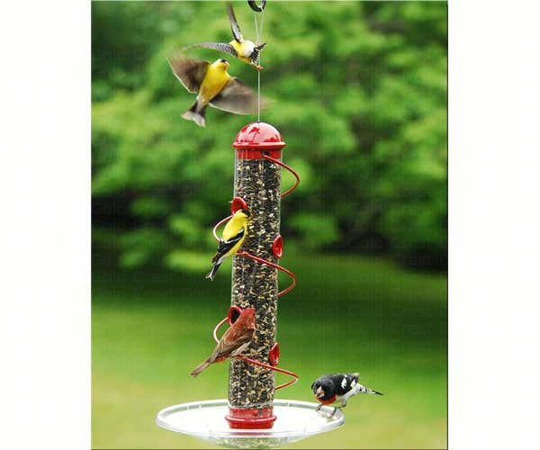 17in. Red Spiral Sunflower Feeder